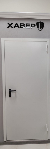 ДВЕРЬ ПРОТИВОПОЖАРНАЯ ДМП  EI-60 RAL 7035